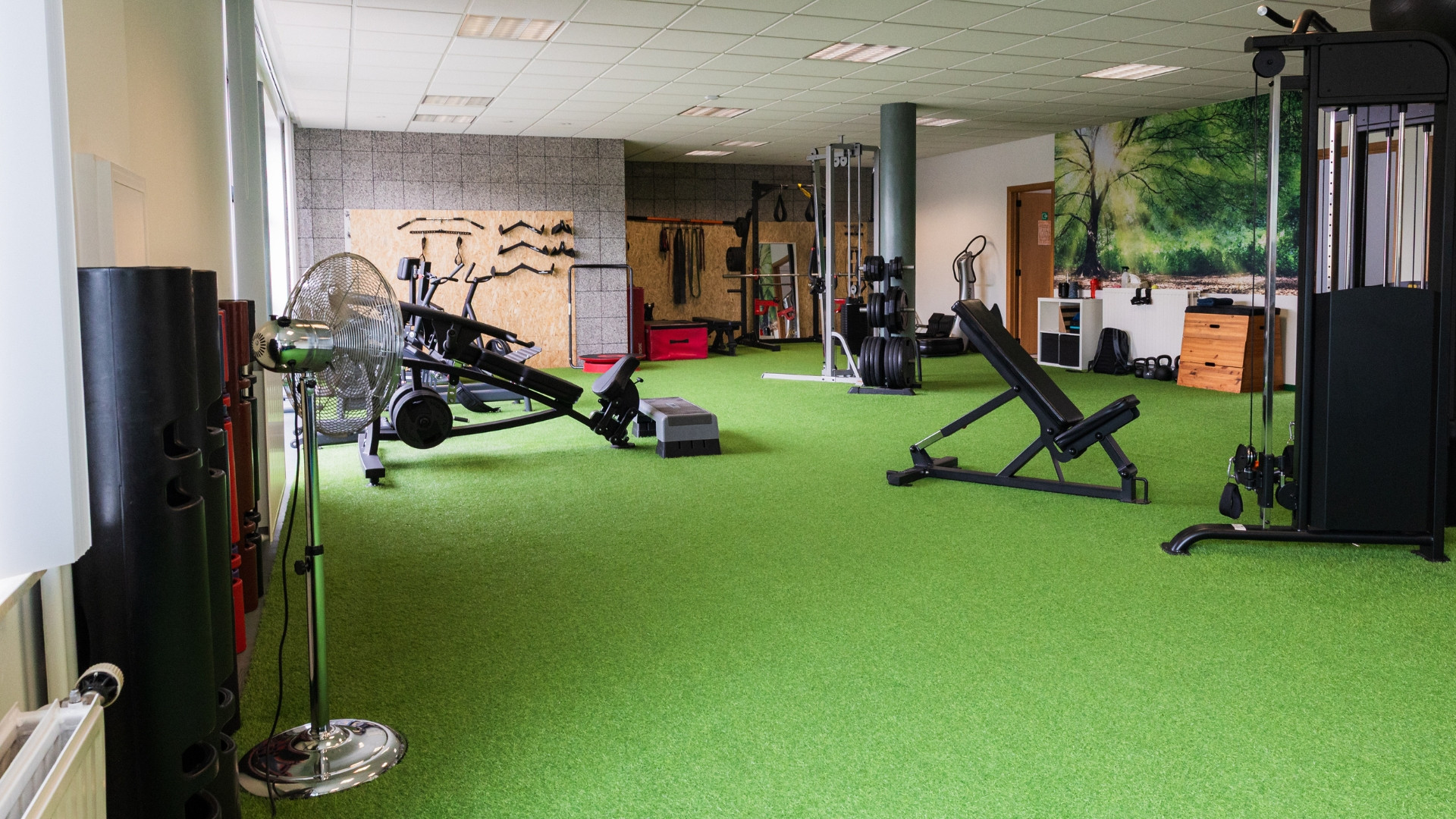 Hoe omgaan met gymtimidation - Personal Coach 4U